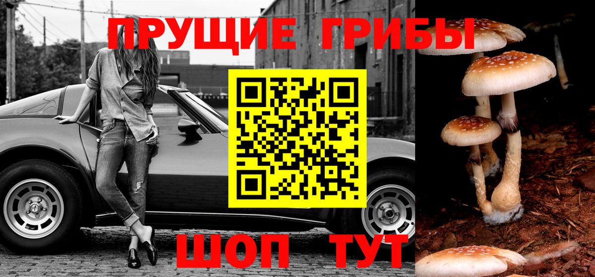 Галлюциногенные грибы мицелий  Вход с VPN  Галлюциногенные грибы Cubensis  Соль-Илецк 